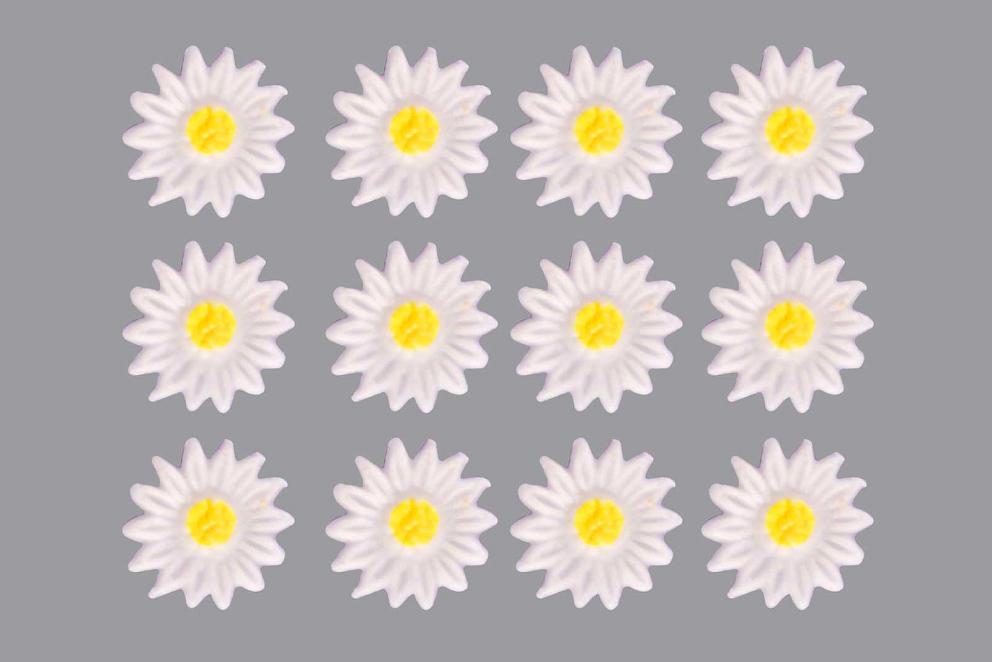 Bild Wachsdekor Margeriten