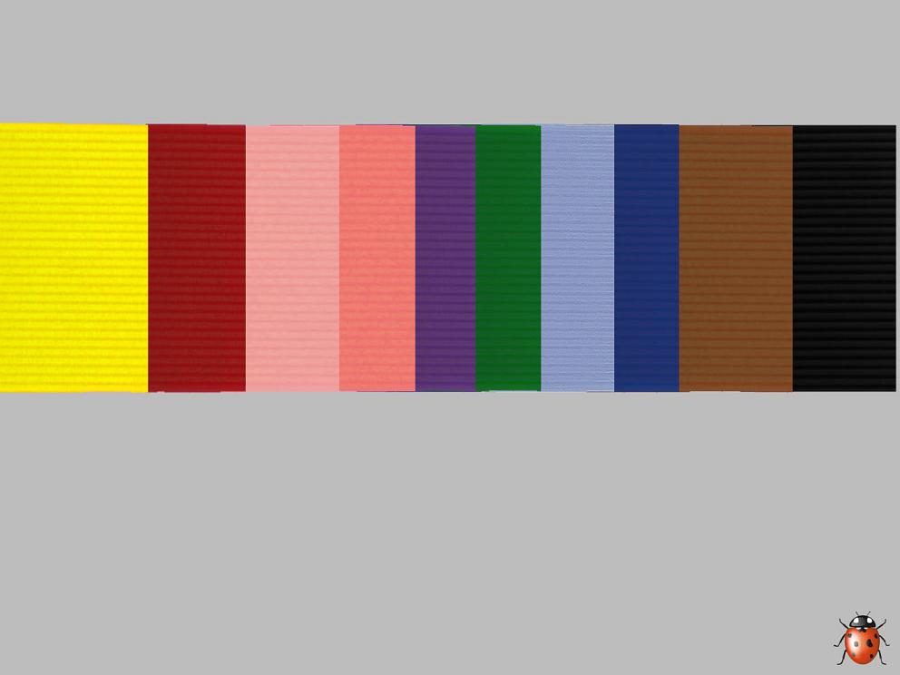 Bild Wachszierstreifen 1 mm x 200 mm 30 Stk schwarz