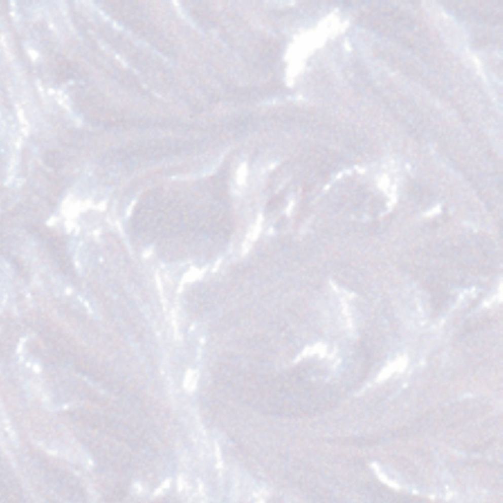 Bild Candlepaint Farbe perlmutt